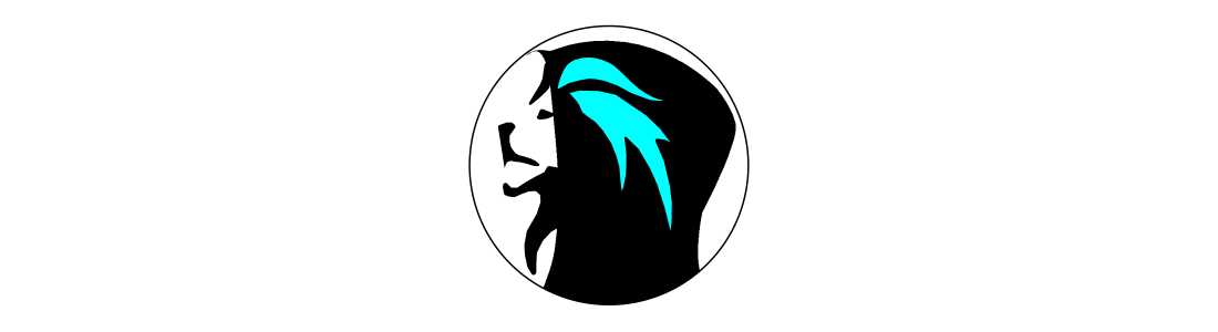 CodingShadows